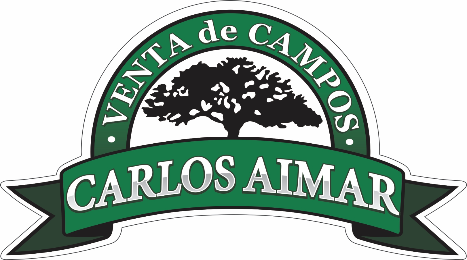 CARLOS AIMAR 9041a