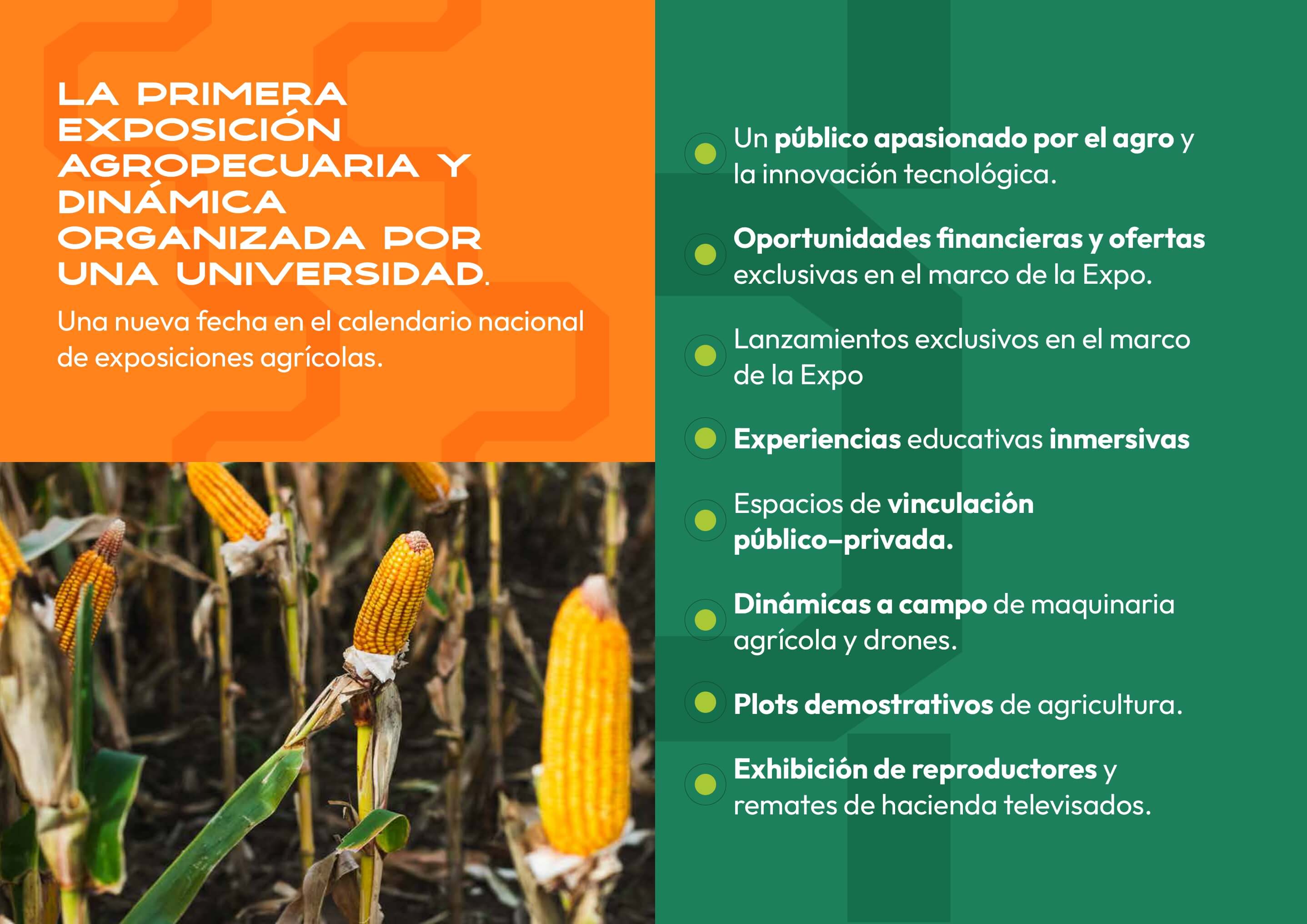 La primera exposición agropecuaria y dinámica organizada por una universidad — propuesta de valor para expositores